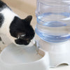 Floofi Automatic Water Feeder (Light Pink) PT-FD-108-QQQ